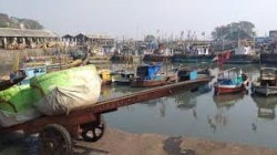 निर्यातदारांना कोळंबी पुरवणारे व्यापारी अडचणीत… मच्छीमारांवरही संकट; मुंबई पोर्ट ट्रस्टने ११ वर्षांनी केली सर्वोच्च न्यायालयाच्या आदेशांची अंमलबजावणी