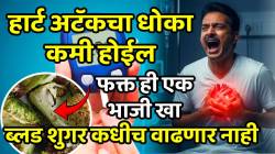 हार्ट अटॅकचा धोका कमी होईल, ब्लड शुगर कधीच वाढणार नाही; फक्त ही एक भाजी खाल्लीच पाहिजे, परिणाम पाहून थक्क व्हाल