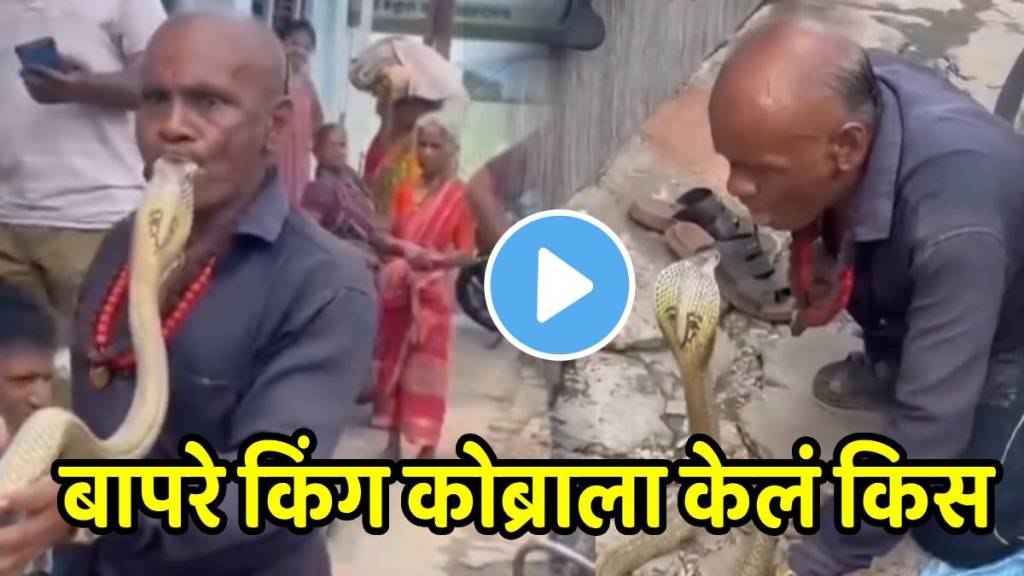 Shocking video Viral Uncle Started Kissing King Cobra On Street Viral on social Media Shocking video Viral Uncle Started Kissing King Cobra On Street Viral on social Media