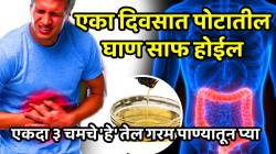 पोटातली सगळी घाण एका दिवसात बाहेर पडेल; रोज पोट साफ होईल, फक्त महिन्यातून एकदा ३ चमचे ‘हे’ तेल गरम पाण्यातून प्या