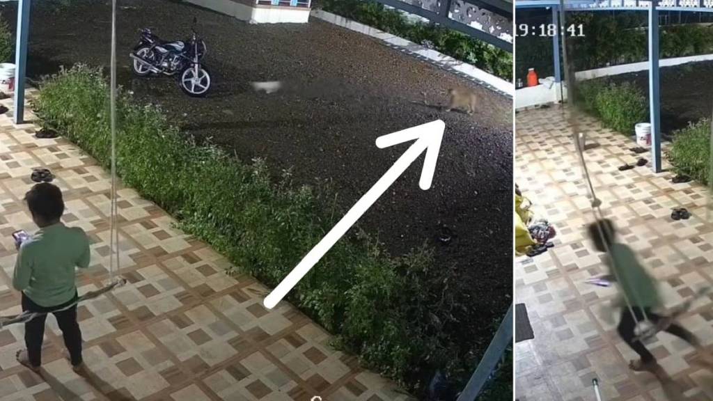 Shirur another boy escaped in leopard attack Shirur another boy escaped in leopard attack