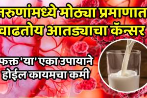 These 3 types of fruits will never cause risk of cancer best fruits for fighting cancer in marathi