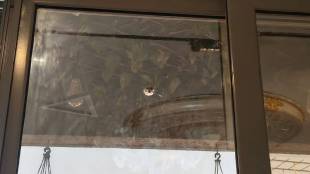 unknown person opened fire in Vasai West Papadi area