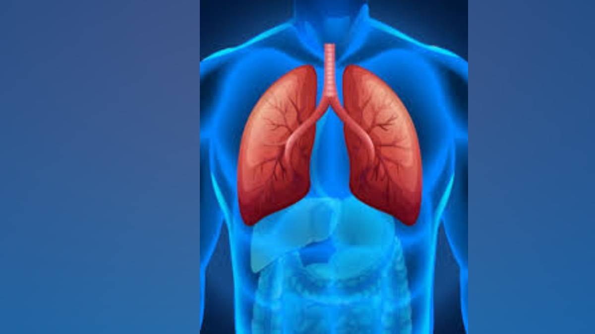 winter season changing weather increase chances of respiratory problems lung health