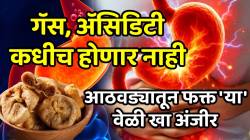 गॅस, अ‍ॅसिडिटी कधीच होणार नाही; आतड्यांतली सगळी घाण होईल स्वच्छ, आठवड्यातून फक्त ‘या’ वेळी खा अंजीर