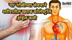 ‘या’ गोळीमुळे खराब कोलेस्ट्रॉल होईल कमी! हार्ट अटॅकचा धोका टळणार? तज्ज्ञ काय सांगतात?