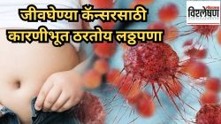 लठ्ठपणामुळे वाढतोय कॅन्सरचा धोका; ‘या’ सवयी ठरू शकतात घातक, तज्ज्ञ काय सांगतात?