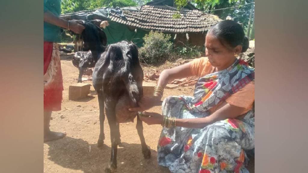 Pashusakhi project provides employmen and animal care in igatpuri