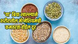 बदामापेक्षा भारी असतात ‘या’ बिया! सेवन केल्यास शरीरातील मॅग्नेशियमची कमतरता होते पूर्ण