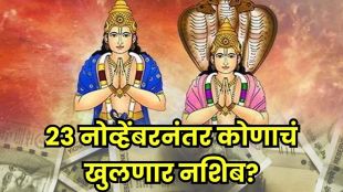 Rahu Ketu effects on zodiac signs