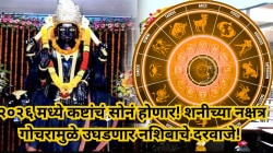 २०२६ मध्ये कष्टांचं सोनं होणार! शनीच्या नक्षत्र गोचरामुळे उघडणार नशिबाचे दरवाजे – या ३ राशींच्या आयुष्यात येणार सोन्याचा काळ