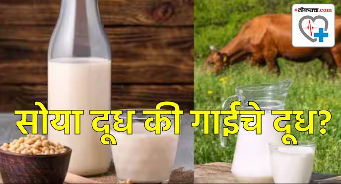 Soya Milk or Cow Milk Soya Milk or Cow Milk
