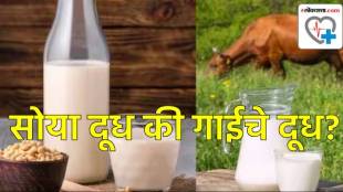 Soya Milk or Cow Milk