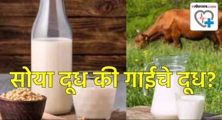 Soya Milk or Cow Milk
