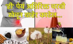 ‘ही’ सहा पेयं लिव्हरमधील अतिरिक्त चरबी खेचून बाहेर काढतील, यातील एक तर देईल चमत्कारिक फायदे…