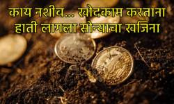 स्विमिंग पूल बनवायचा होता आणि बनला थेट करोडपती, खोदकाम करताना आढळल्या चक्क सोन्याने भरलेल्या पिशव्या