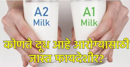 A1 की A2 दूध आरोग्यसाठी उत्तम? A1 की A2 दूध आरोग्यसाठी उत्तम?