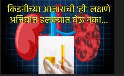 लघवीतील ‘हे’ बदल सांगतात किडनी निरोगी आहे की नाही? या गंभीर लक्षणांकडे अजिबात करू नका दुर्लक्ष