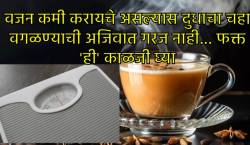 दुधाचा चहा पिऊनही वजन नियंत्रणात ठेवू शकता… फक्त चहा घेताना ‘हे’ नियम आवर्जून पाळा