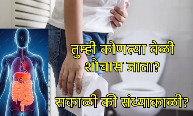 Mtabolism according to your poop timing