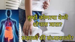 Mtabolism according to your poop timing