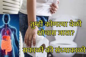 Mtabolism according to your poop timing