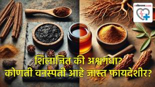 Shilajit and Ashwagandha Benefits