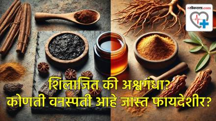 Shilajit and Ashwagandha Benefits Shilajit and Ashwagandha Benefits