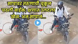 बापरे! रस्त्यावर आलेल्या सापावर तरुणाची चुकून चढली बाईक; पुढच्याच क्षणी सापानं जे केलं ते पाहून विश्वास बसणार नाही! VIDEO व्हायरल
