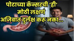 पोटदुखी आणि उलट्यांचा त्रास वारंवार होतोय? सावधान! ‘ही’ लक्षणं पोटाच्या कॅन्सरची असू शकतात; डॉक्टरांकडे धाव घ्या नाहीतर धोका मोठा!