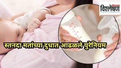 स्तनदा मातांच्या दुधात आढळले युरेनियम; या अभ्यासाने का वाढवली चिंता? तज्ज्ञ काय सांगतात?