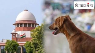 marathi article on supreme court stray dogs verdict shelter order india