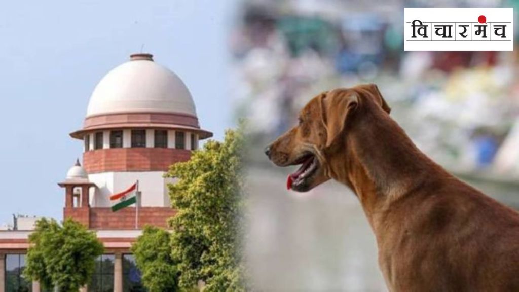 marathi article on supreme court stray dogs verdict shelter order india marathi article on supreme court stray dogs verdict shelter order india