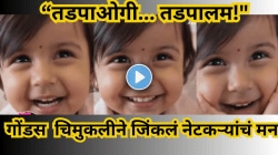 “तडपाओगी… तडपालम!” गोंडस चिमुकलीच्या गोड आवाजाने नेटकऱ्यांचं मन जिंकलं, व्हिडिओ पाहून चेहऱ्यावर येईल हसू