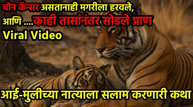 Emotional Wildlife Video