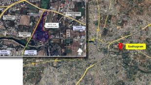 Tree-Cutting for Nashik Kumbh