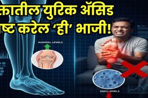 Ayurvedic remedy for uric acid