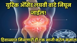 लघवीतून सांध्यात अडकलेलं युरिक ॲसिड सहज बाहेर पडेल; हिवाळ्यात मिळणारी ‘ही’ भाजी खा, सांधेदुखी व संधिवातातून मिळेल मोठा आराम!