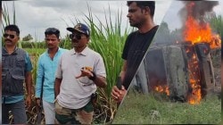 पुणे : नरभक्षक बिबट्याला गोळ्या घालण्याचे आदेश; तीन शार्प शूटरची पथके दाखल