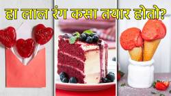 ‘या’ किड्याचा भुगा करून तयार होतो लाल रंग? कँडी, केक आणि आईस्क्रीममध्ये होतो याचा वापर… काय आहे सत्य?