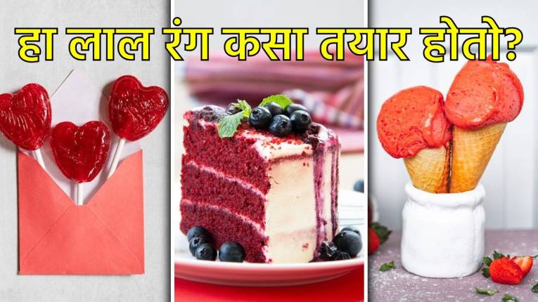 ‘या’ किड्याचा भुगा करून तयार होतो लाल रंग? कँडी, केक आणि आईस्क्रीममध्ये होतो याचा वापर… काय आहे सत्य?