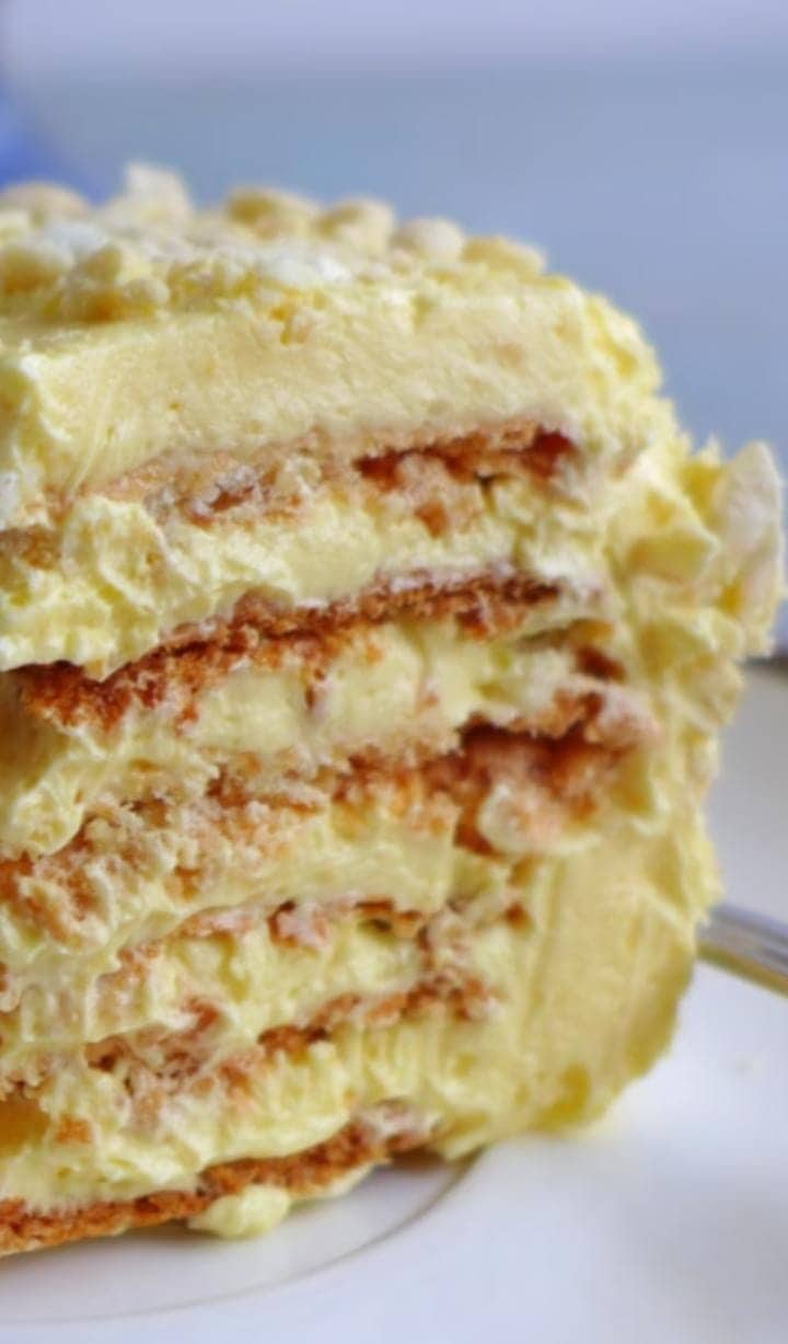 Delicious famous cake recipe dessert.
