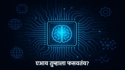 AI तुम्हाला चुकीची माहिती देऊन फसवतंय; नव्या अभ्यासाचा धक्कादायक निष्कर्ष! वाचा सविस्तर