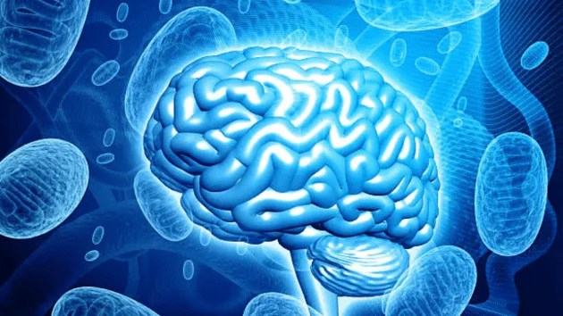 Young people with early grey hair problems reason