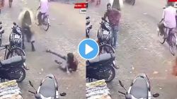 रस्त्यावर फोनवर बोलणं पडलं महागात! मागून बैलाने दिली जोरदार धडक अन्…, VIDEO मध्ये पाहा पुढे नेमकं काय घडलं…