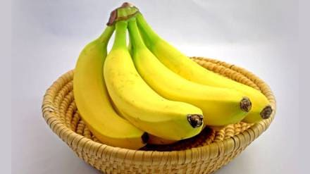 banana boosts energy for police training banana boosts energy for police training