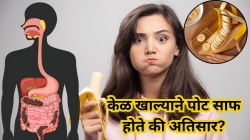 केळी खाल्ल्याने खरंच पोट साफ होते का? आतड्याच्या आरोग्यासाठी केळ चांगले आहे का?