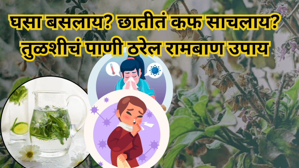 benefits of tulsi water