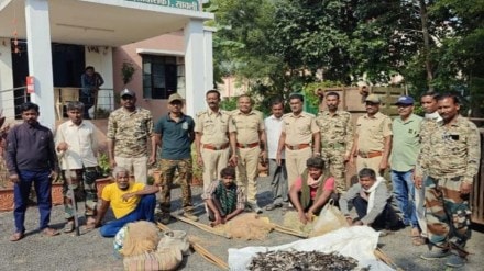 bird week poaching rare birds exposed in chandrapur maharashtra bird week poaching rare birds exposed in chandrapur maharashtra