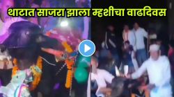 गावभर जल्लोष! दोन वर्षांच्या ‘शेरा’ म्हशीचा लाखोंच्या थाटात वाढदिवस साजरा; डीजे, जेवणावळी आणि फुलांची सजावट पाहून व्हाल थक्क…